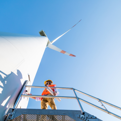 AdobeStock_276903604