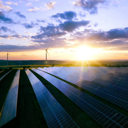 green-Partners-Adjusting_1267681291